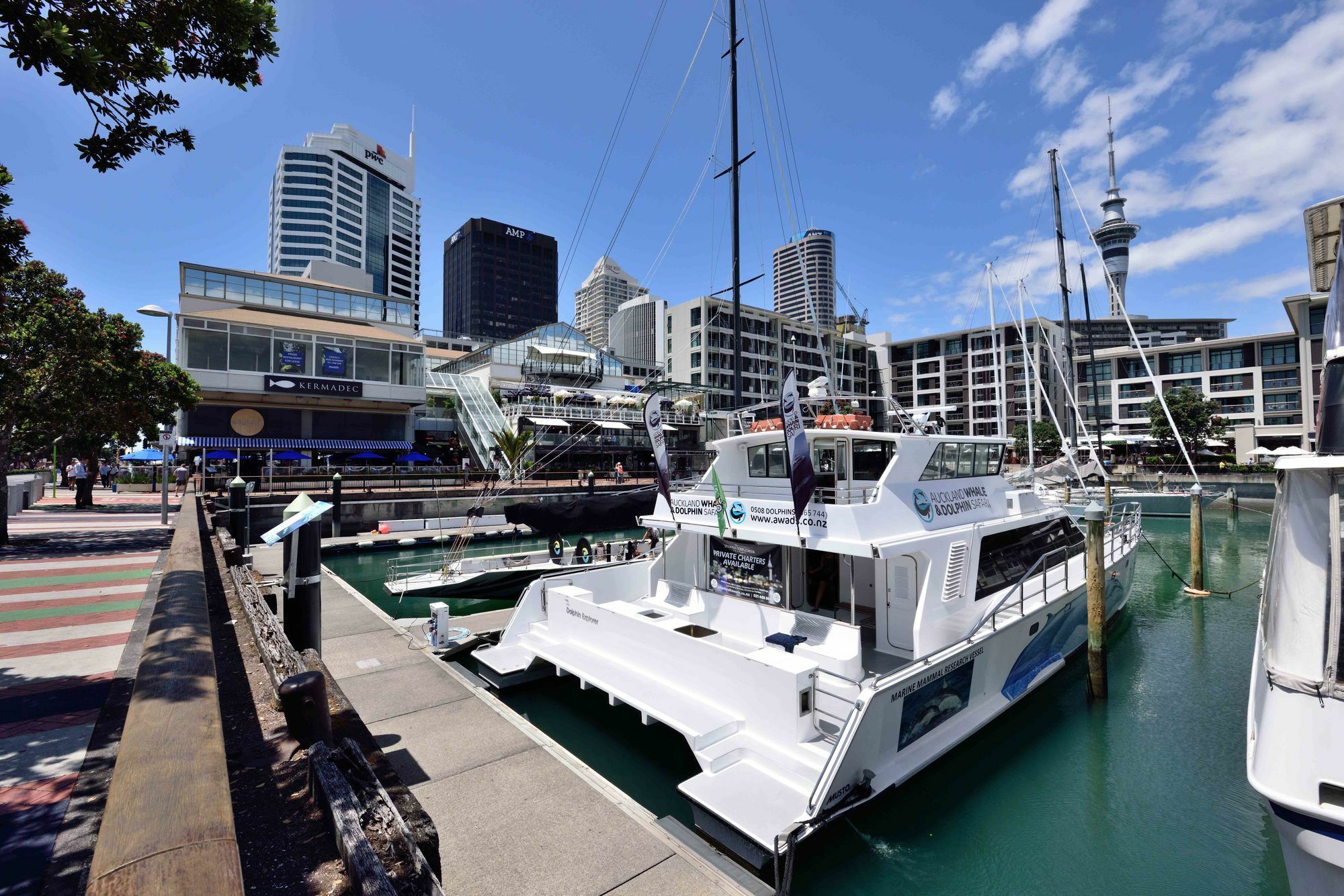 Furnished Apartment In Auckland Cbd Extérieur photo